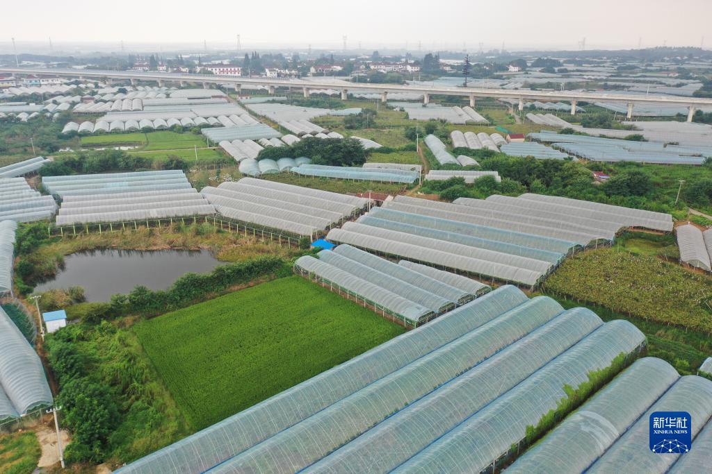 博悦平台登录客服
